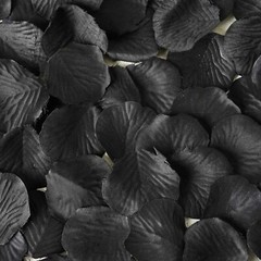4000 Black Silk Rose PETALS Wedding Party Decorations Supplies WHOLESALE SALE