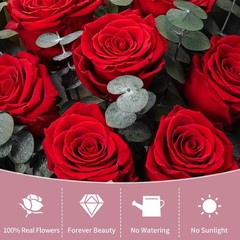 Lewondr Flower for Delivery, Preserved Flowers 13.4 × 8.86 × 4.92 in, Red