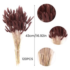 120pcs Dark Brown Bunny Tails Dried Flowers, 17″ Ancora Red