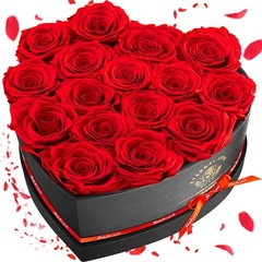 16-Piece Preserved Rose Birthday Gifts for Women, Eternal 16 Rose, Red