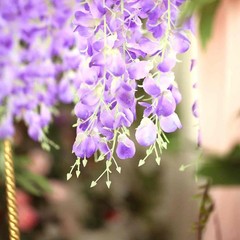 42″ tall Lavender Silk Wisteria Flowers Hanging Vine Garland Centerpieces