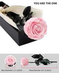 SofLiv Pink Flowers for Delivery Prime, Preserved SingleRose, 04-pink