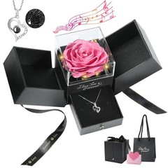 Emibele Preserved Real 3.94 x 3.74 x 4.25 inches, Pink Rose + S925 Necklace