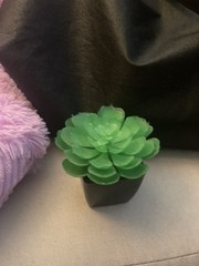Cute Set~ 3 Assorted 3,4, 5” Faux Small Succulent Plants Pots Wedding Home Decor