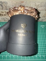 The Million Roses Los Angeles Black With Gold Roses Beautiful Piece lightly Used