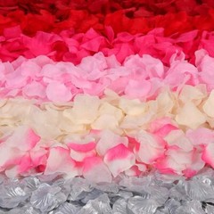 2000pcs Artificial Silk Rose Petals – Romantic Wedding, Party & Valentine Decor