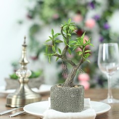 9″ tall Green Brown Concrete Pot with Faux Mini Willow Tree Wedding Decorations