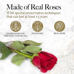 27 Preserved Roses in a Heart Box – Flowers Forever Valentine’s Day, Roses Forev
