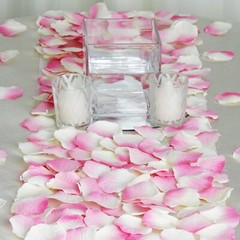 2000 Pink Silk Rose PETALS Wedding Party Decorations Supplies WHOLESALE SALE