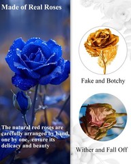 16 Flowers Forever Preserved Roses in Box, Mystic Blue