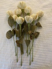 9 WT Collection Burlap Ivory White Flower Stems Wedding NWT Tulip Roses Gorgeous