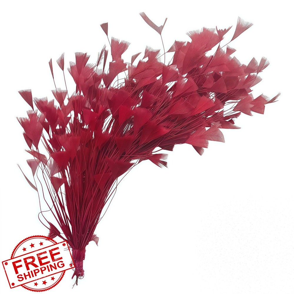 GYBZZR Burgundy Feather Bouquet 10-12″ 2Pcs