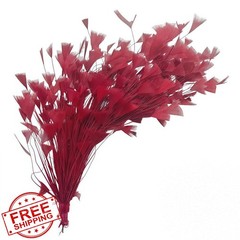 GYBZZR Burgundy Feather Bouquet 10-12″ 2Pcs
