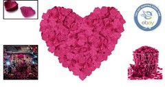 1000 Lifelike Fuchsia Silk Rose Petals – Decoration for All Occasions