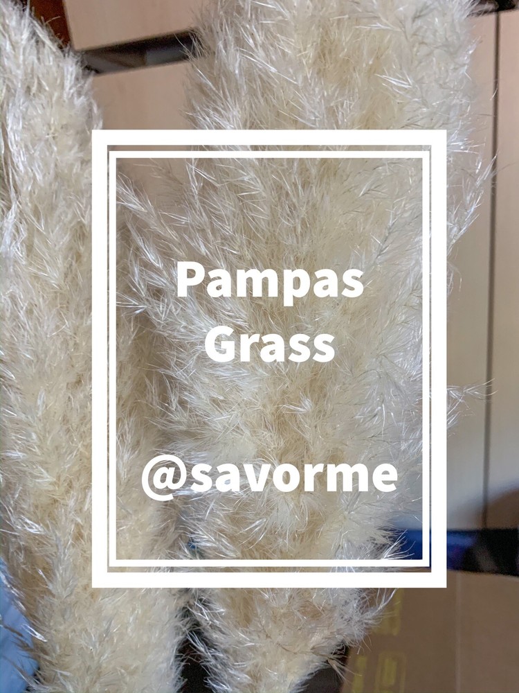 12 Large Pampas Grass (36”) Wedding Decor CA, USA BEAUTIFUL!