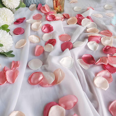 Pink Rose Petals,Blush Pink Flower Silk Petals,Scatter Petals for Wedding Aisle
