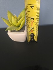 3 Green Assorted Faux Echeveria Succulent Plants White Ceramic Pots Party