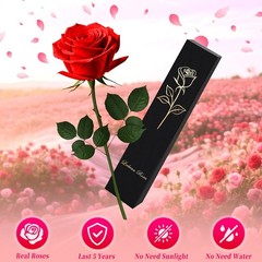 Leebean Single Forever Roses Luxury Gift for Women/Men, Birthday 1 Rose, Red
