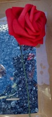Ling’s Moment Red Roses – Box of 25 New In Box