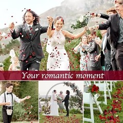 180 PCS Red Rose Petals Confetti – Freeze Dried Flower Decor for Weddings & Vale