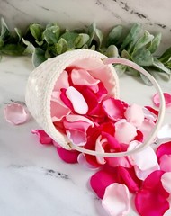 Hot Pink Rose Petals Barbiecore Wedding Decor Will You Marry Me Petal Patrol Box