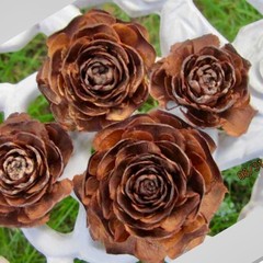 Rose pinecones