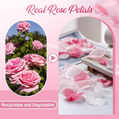 300 PCS Real Pink White Rose Flower Petals Confetti for Wedding Flower Girl to T