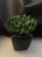 Cute Set~ 3 Assorted 3,4, 5” Faux Small Succulent Plants Pots Wedding Home Decor