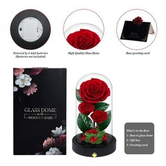 3 Preserved Flowers Roses in Glass Dome for Beauty 7.5 inches, Red