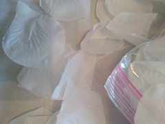 E25 Over 1000 White Artificial Silk Rose Petals By Details Access. Greenbrier