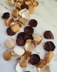 100 Rose Petals Boho Neutral Beige Flower Petals Western Fall Wedding Decor I Do