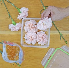 Silica Gel Flower Preservation, Wedding Bouquet Drying Crystals 1.5 lbs A5