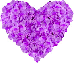 1000 Pcs Artificial Silk Rose Petals Decoration Wedding Party Color Ivory