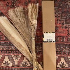 NEW Anthropologie 100 Piece Dried Neutral Pampas Grass Boho Decor Flowers Reeds