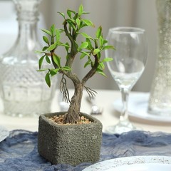 9″ tall Green Brown Concrete Pot with Faux Mini Willow Tree Wedding Decorations