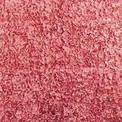 4 Dusty Rose Hydrangea Flowers Mat Wall Backdrop Panels Wedding Party