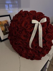 75 Count Red Rose Bouquet – Tightly Wrapped, Real Roses, White Ribbon