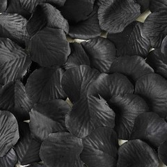 2000 Black Silk Rose PETALS Wedding Party Decorations Supplies WHOLESALE SALE