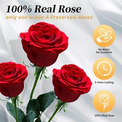 Forever Flowers Roses in A Box,Real Preserved Flowers,Preserved 4 Roses, Red
