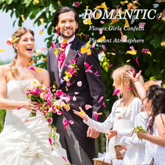2 QT Mix Biodegradable Flower Petals Confetti, 20+ Cups of Dried Roses & Eucalyp