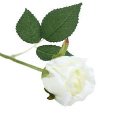 CREAM 24 Artificial 31″ Long Stem Silk ROSE FLOWERS Party Events Decorations