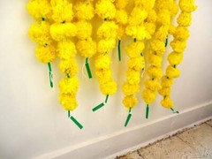 Indian Garlands Gift flowers Marigold Wholesale Lot Marigold Wedding Decor