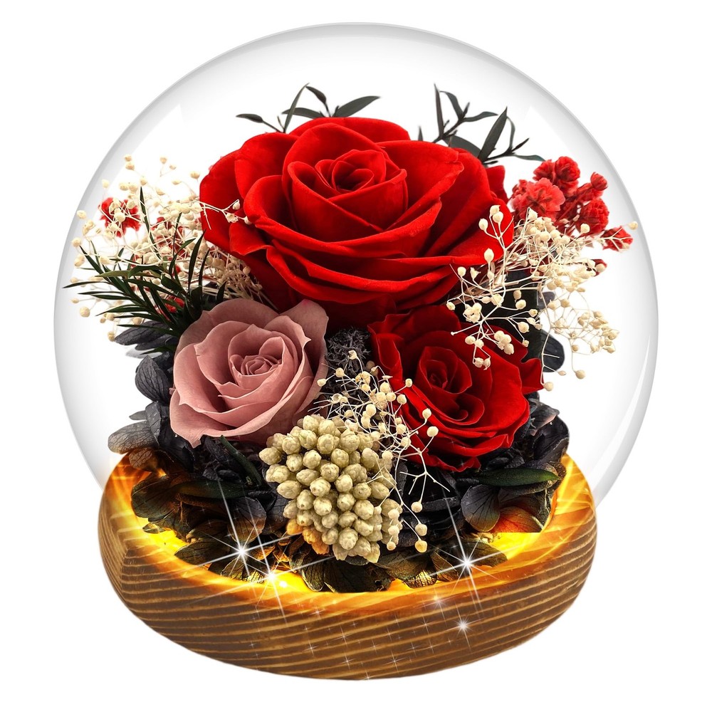 MOKOQI Red Rose Mothers Day Gifts for Mom Forever Flowers D3-
