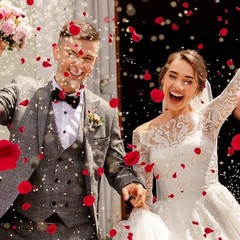 2000Pcs Red Artificial Fake Rose Petals Wedding Romantic Event Party Decor USA
