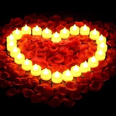 1000Pcs Artificial Rose Petals + 24 LED Candles Romantic Night Propose Set USA