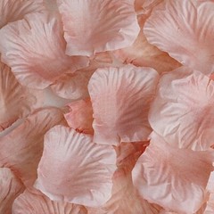 2000 Dusty Rose Silk Rose PETALS Wedding Party Decorations Supplies WHOLESALE