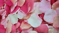 3000pcs Rose Petals Wedding Odorless Flowers -Petals – Favors