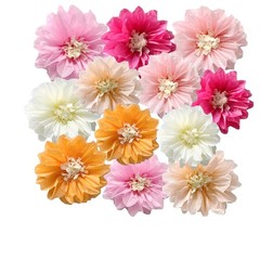 12pcs 10in 12in Paper Flowers Tissue 10inch+12inch, Multicolor Kit