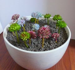 Artificial Succulents Plants 3 Colors Mini Stone Grass Set of 18