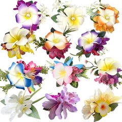SN-A2-3 Hawaiian Hibiscus Luau Beach Party Tropical Flower Hair Clips 3PCS Set